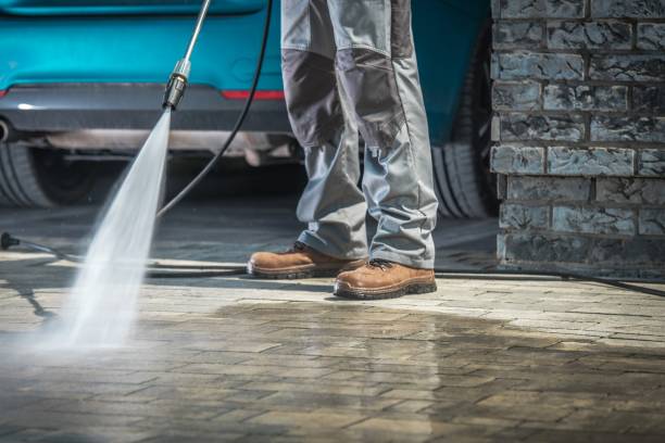 Best Patio and Deck Pressure Washing  in Rosenhayn, NJ